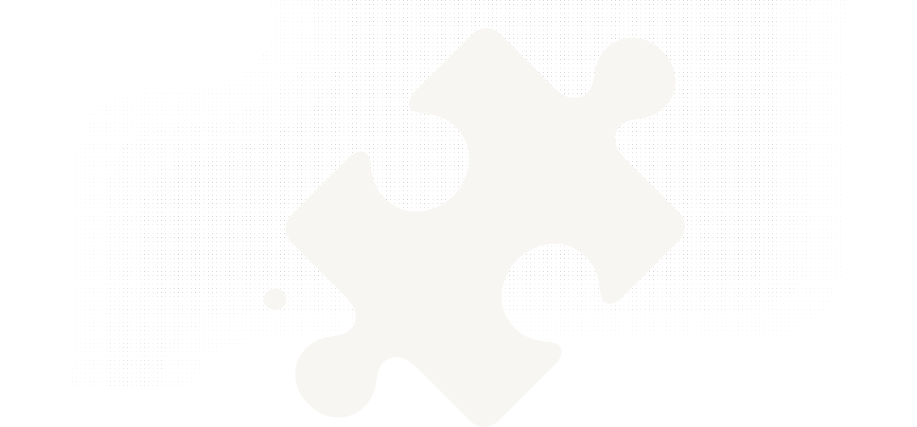 Our Company
